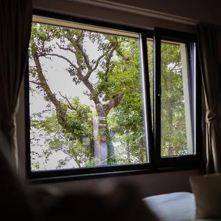 къщички синьо лято, черноморец - - Blue Summer * וארנה