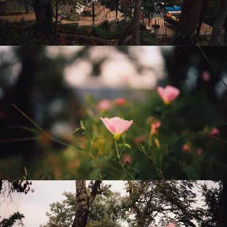 къщички синьо лято, черноморец - - Blue Summer בית נופש