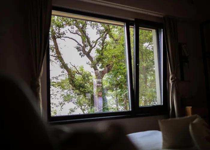 къщички синьо лято, черноморец - - Blue Summer * Варна