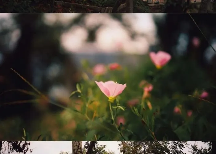 къщички синьо лято, черноморец - - Blue Summer Ваканционна къща