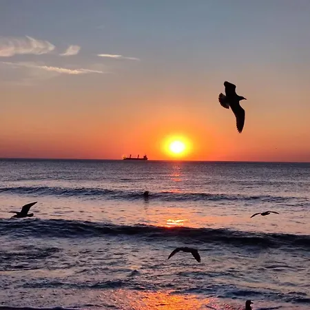 Case de vacanță къщички синьо лято, черноморец - - Blue Summer