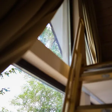 къщички синьо лято, черноморец - - Blue Summer Ferienhaus