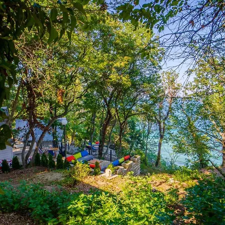 къщички синьо лято, черноморец - - Blue Summer Warna